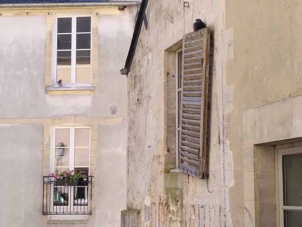 visite-mysteres-bayeux-anne-gosselin-3